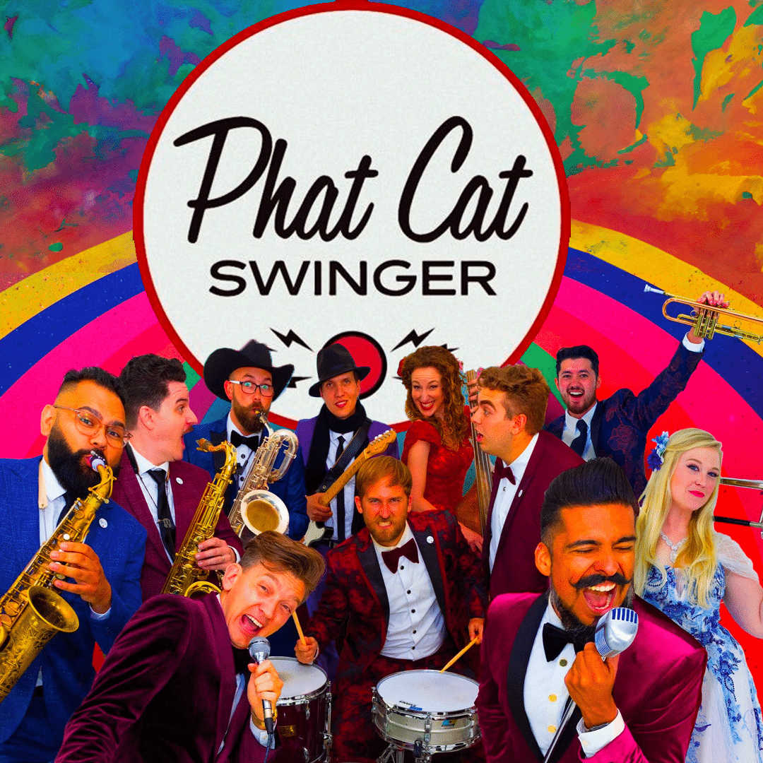 phat cat swinger zimnbb.tmp